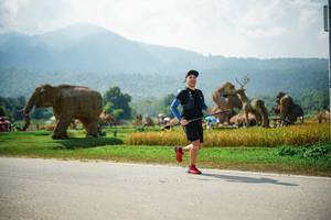 BIB: 
                            <button type="button" onclick="openModal(22436943)" class="btn btn-primary btn-sm float-right btn-popup" data-toggle="modal" data-target=".modal-high-quality">
                        <i class="fas fa-shopping-cart"></i> Add to Cart
                    </button>
                                            <button type="button" onclick="isThisMe(22436943, true)" class="btn btn-success btn-sm float-right btn-popup btn-isme hidden" data-toggle="tooltip" data-placement="bottom" title="นี่คือรูปของคุณใช่ไหม คลิกที่นี่เพื่อเอาเข้าอัลบั้ม">
                        <i class="fas fa-plus"></i> Add to album
                    </button>
                    <button type="button" onclick="isThisMe(22436943, false)" class="btn btn-warning btn-sm float-right btn-popup btn-isnotme hidden">
                        <i class="fas fa-ban"></i> Remove from album
                    </button>